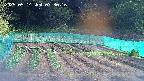 kannonmori-20250514073017.jpg