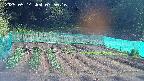 kannonmori-20250514075017.jpg