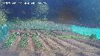 kannonmori-20250514082016.jpg
