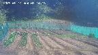 kannonmori-20250514091017.jpg