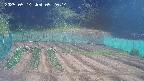 kannonmori-20250514092015.jpg