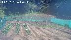 kannonmori-20250514093016.jpg