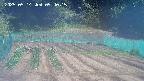 kannonmori-20250514094016.jpg