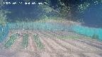 kannonmori-20250514095017.jpg