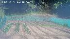 kannonmori-20250514100015.jpg