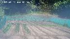 kannonmori-20250514102017.jpg