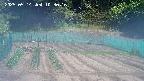 kannonmori-20250514103017.jpg