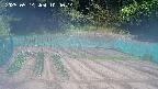 kannonmori-20250514104016.jpg