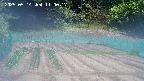 kannonmori-20250514110018.jpg