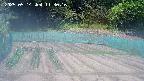 kannonmori-20250514113017.jpg