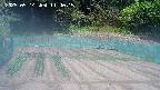 kannonmori-20250514114016.jpg