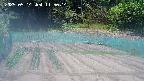 kannonmori-20250514115015.jpg