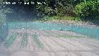 kannonmori-20250514120016.jpg