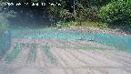 kannonmori-20250514121017.jpg