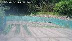 kannonmori-20250514124015.jpg