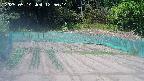 kannonmori-20250514125015.jpg