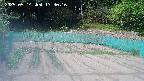 kannonmori-20250514133018.jpg