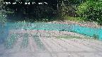 kannonmori-20250514135016.jpg