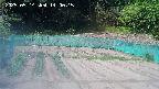 kannonmori-20250514140016.jpg