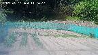 kannonmori-20250514141015.jpg