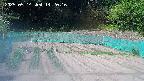 kannonmori-20250514142017.jpg