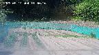 kannonmori-20250514143017.jpg