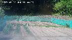 kannonmori-20250514145014.jpg