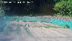 kannonmori-20250514150015.jpg