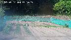 kannonmori-20250514151016.jpg