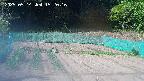 kannonmori-20250514152017.jpg