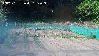 kannonmori-20250514154014.jpg