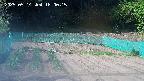 kannonmori-20250514160016.jpg