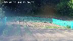 kannonmori-20250514170018.jpg