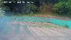 kannonmori-20250514182017.jpg