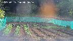 kannonmori-20250515060018.jpg