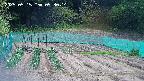 kannonmori-20250515093016.jpg