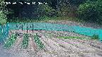 kannonmori-20250515100018.jpg