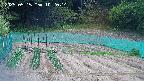 kannonmori-20250515102015.jpg