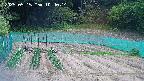 kannonmori-20250515104015.jpg