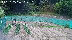 kannonmori-20250515105016.jpg