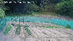 kannonmori-20250515110015.jpg