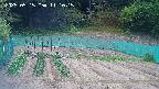 kannonmori-20250515111017.jpg