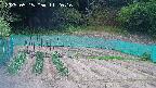 kannonmori-20250515112018.jpg