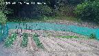 kannonmori-20250515113018.jpg