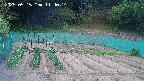 kannonmori-20250515114016.jpg