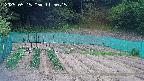 kannonmori-20250515115017.jpg