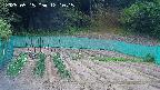 kannonmori-20250515121017.jpg