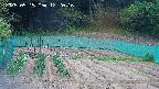 kannonmori-20250515122017.jpg