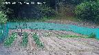 kannonmori-20250515123026.jpg