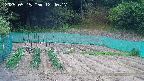 kannonmori-20250515124019.jpg
